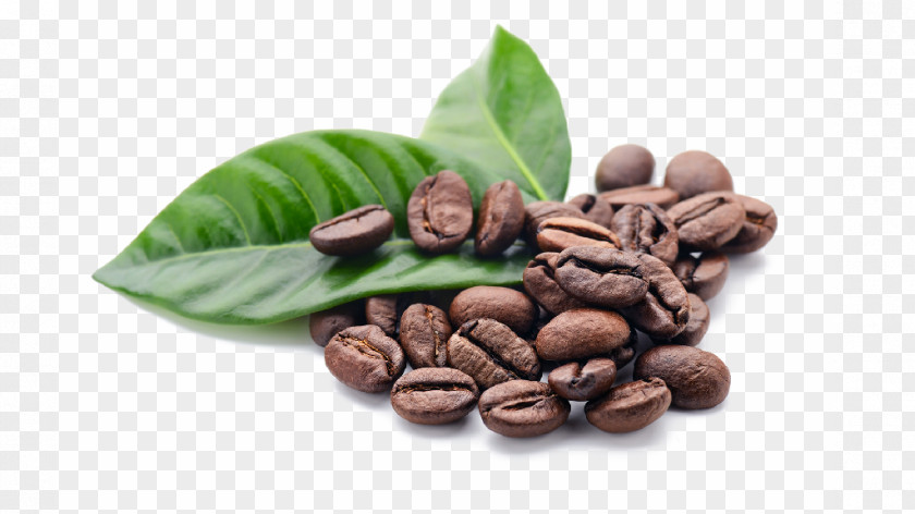 Coffee Jamaican Blue Mountain Cafe Single-origin Espresso PNG