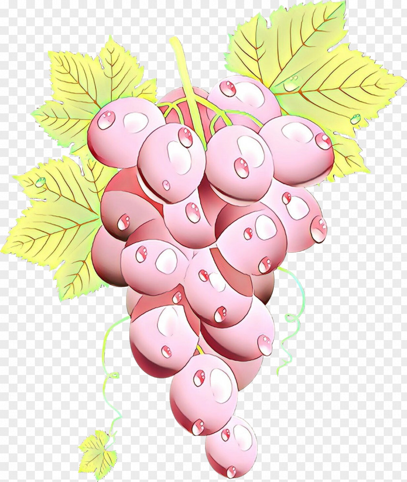 Food Plant Grape Cartoon PNG