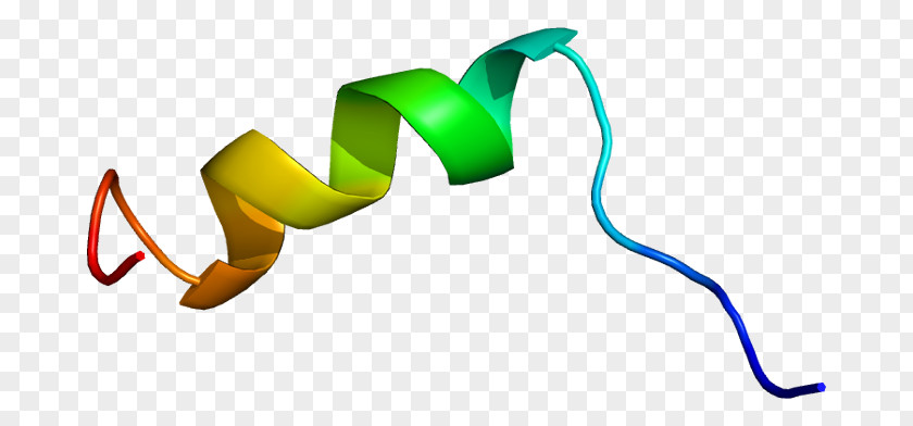 Heart Nav1.5 Brugada Syndrome SCN8A Sodium Channel Gene PNG