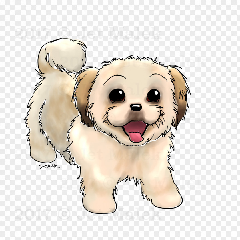 Puppy Drawing Sketch Dog Breed Shih Tzu Maltese Maltipoo PNG