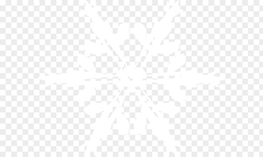 Snowflake Image Black And White Point Angle Pattern PNG
