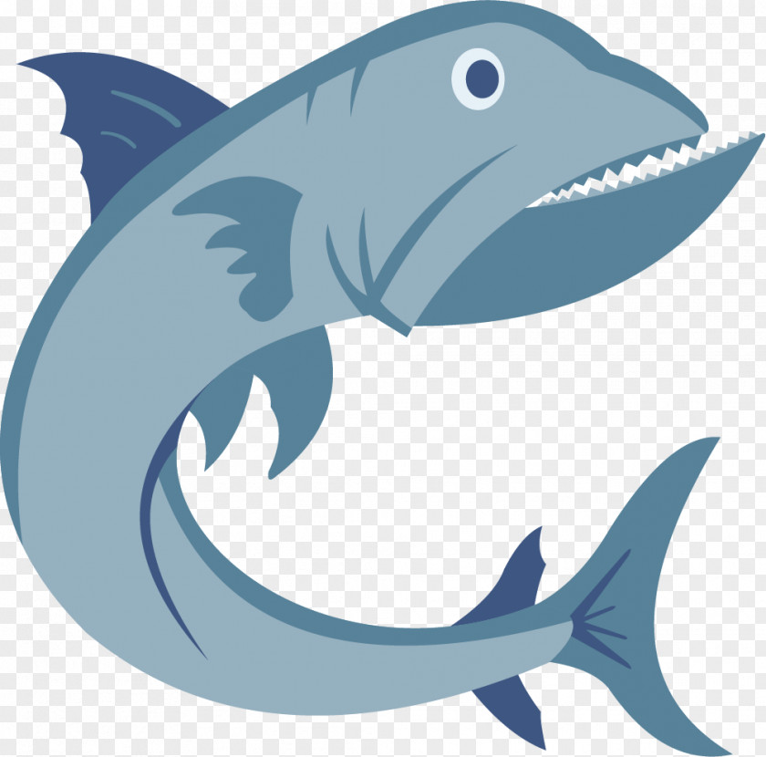 Tooth Fish Shark Icon PNG