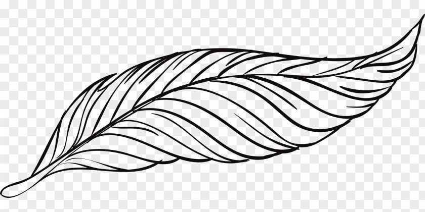 Turkey Bird Feather Black And White PNG