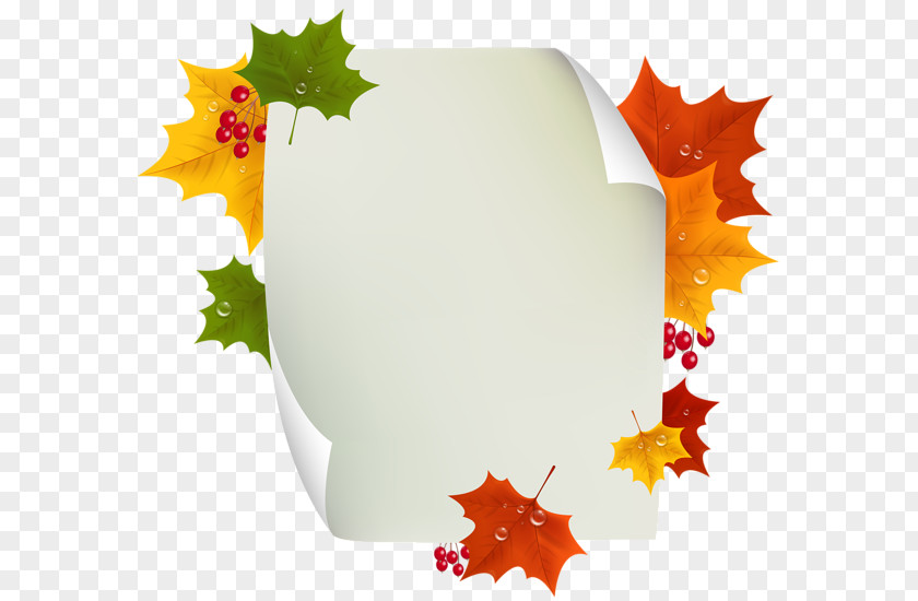 Autumn Decoration PNG