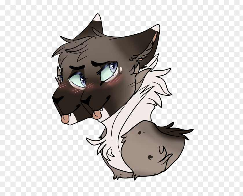 Cat Whiskers Horse Dog Snout PNG