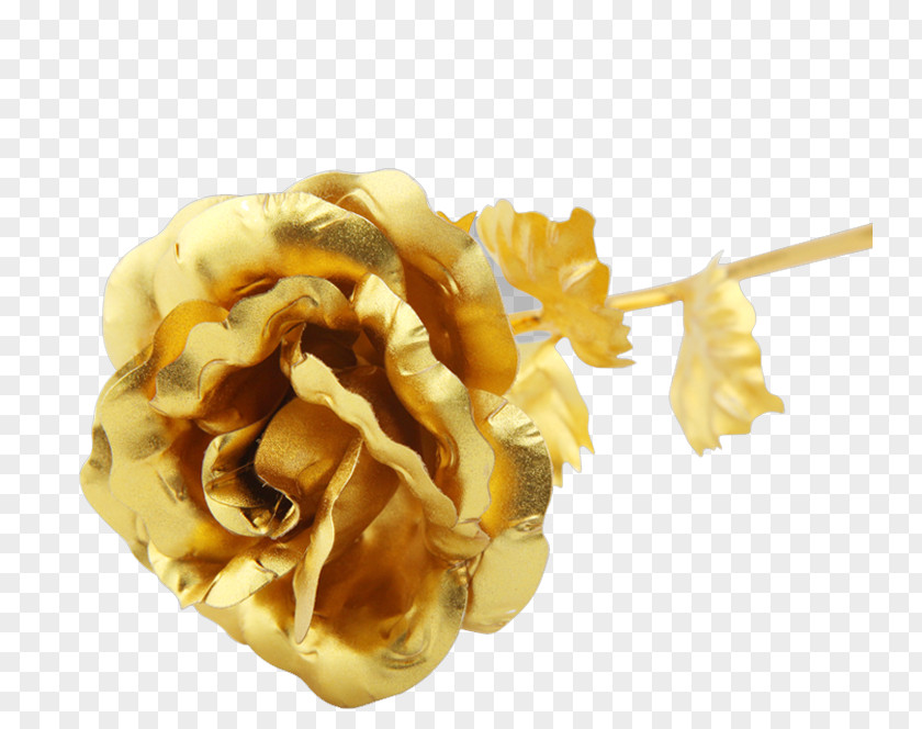 Golden,rose Beach Rose Gold Flower PNG