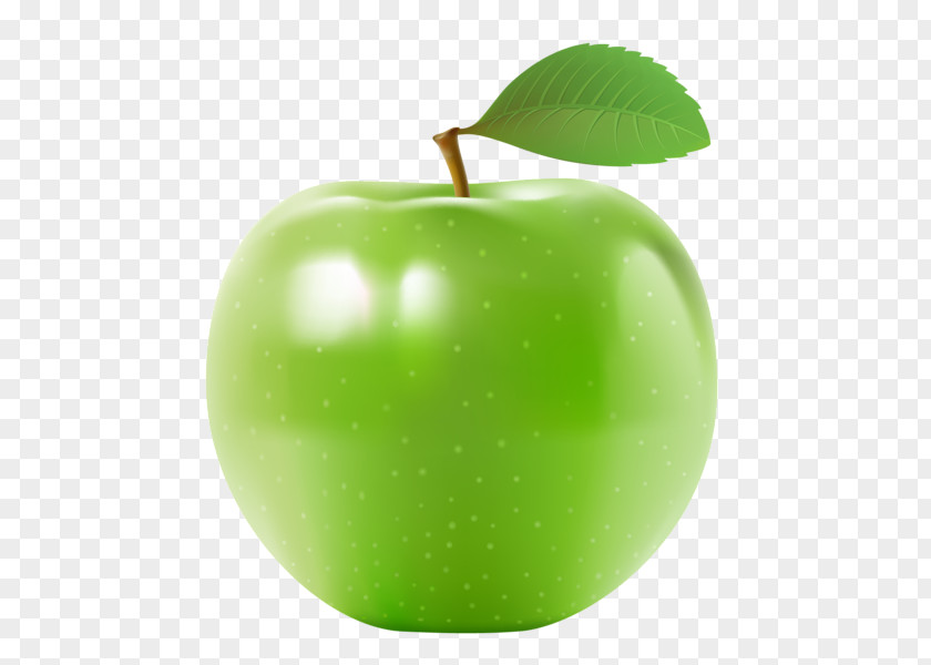 Green Apple Slice Clip Art PNG
