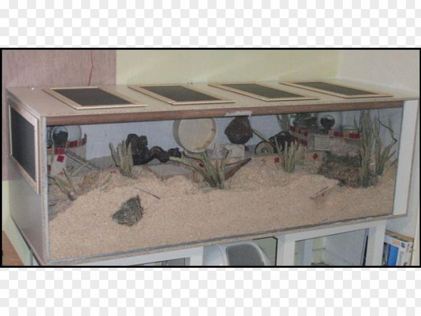 Hamster Cage Glass Material Aquarium Poly Architectural Engineering PNG