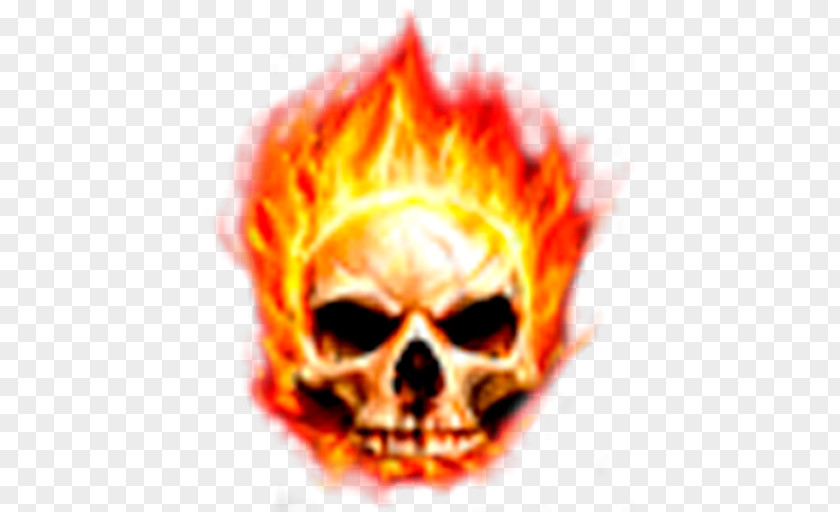 Skull Desktop Wallpaper Fire Flame Live PNG