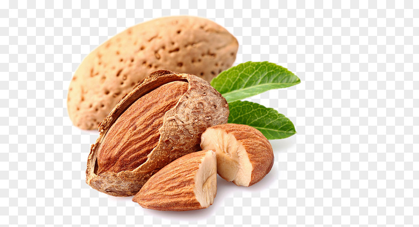 Almond Nut Cashew Dried Fruit Food PNG
