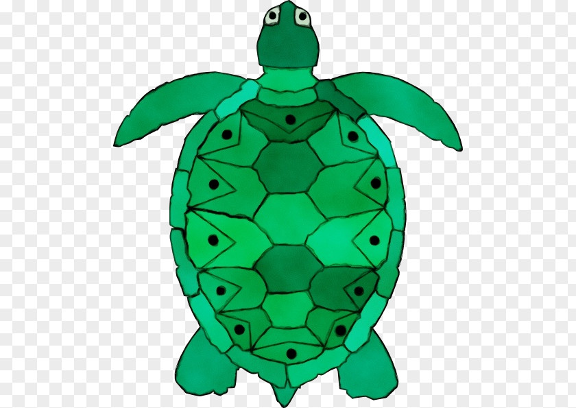 Sea Turtle Clip Art Free Content Openclipart PNG