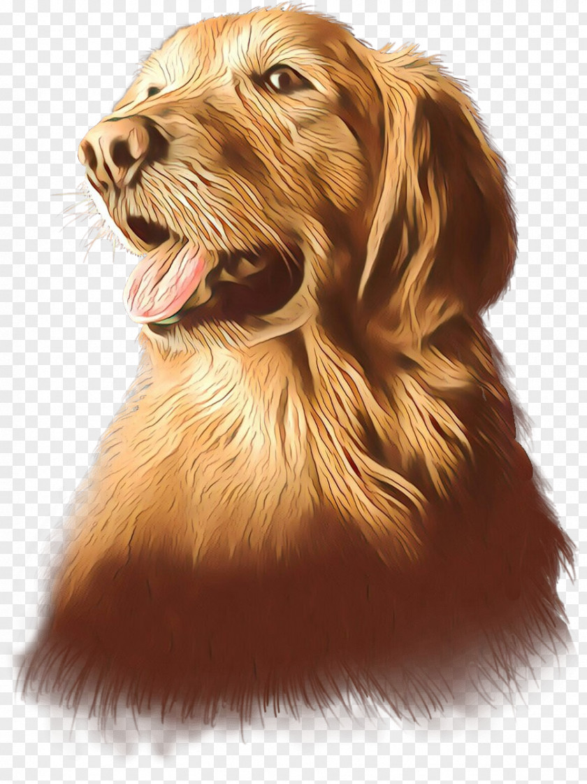 English Cocker Spaniel Drawing Golden Retriever Background PNG