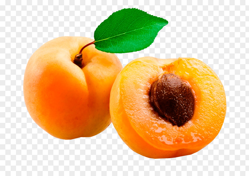 I Apricot Kernel Fruit Noyau Amygdalin PNG