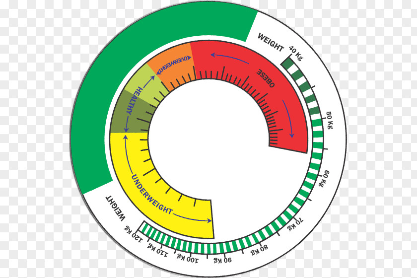 Palette Circle Statistics .com Logo PNG