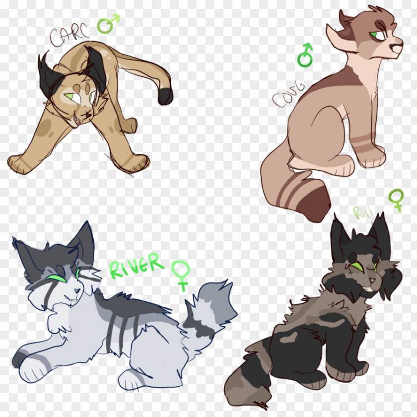 Please Do Not Litter Kitten Dog Cat Horse Mammal PNG