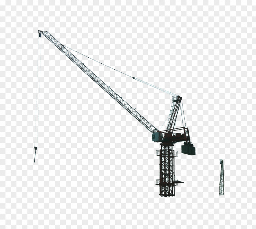 Crane Painting Drawing PNG
