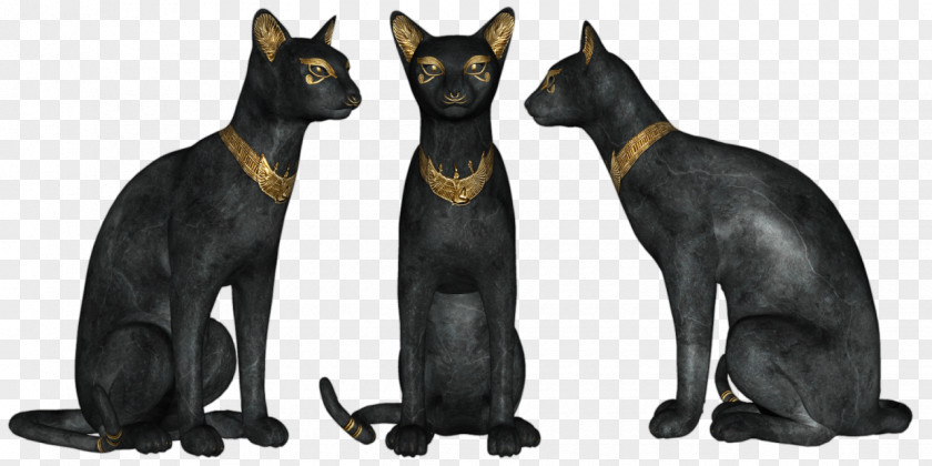 Egypt Bombay Cat Havana Brown Black Domestic Short-haired Clip Art PNG