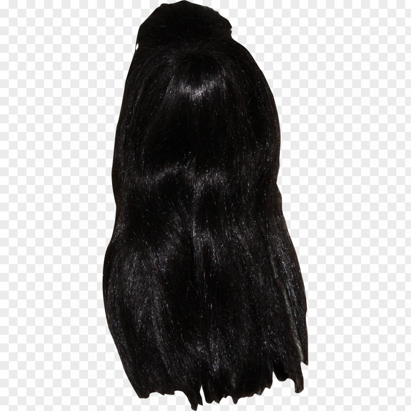 Fur Black Hair M PNG