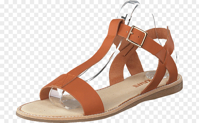 Sandal Slipper Shoe Brown Beige PNG