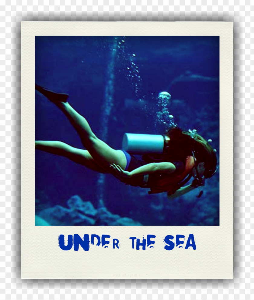 SCUBA DIVING Tulamben Scuba Diving Divemaster Underwater C-card PNG