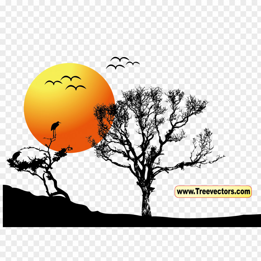 Vector Tree And Sun Sunset Clip Art PNG