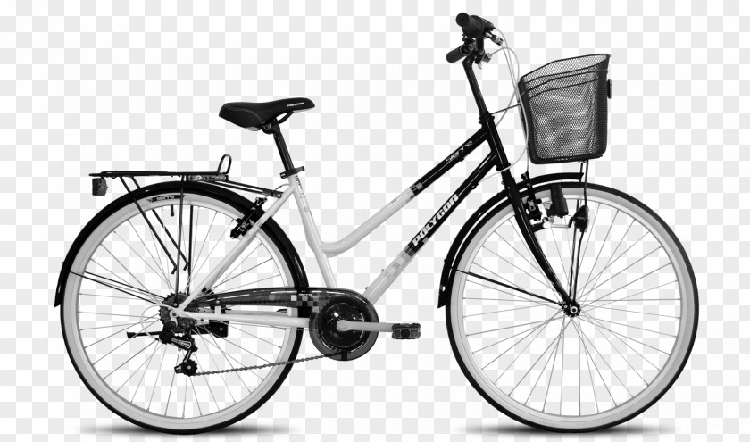 Bicycle City Polygon Bikes Mountain Bike Pricing Strategies PNG
