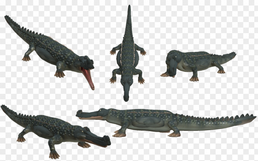 Crocodile Alligators Fauna Terrestrial Animal PNG