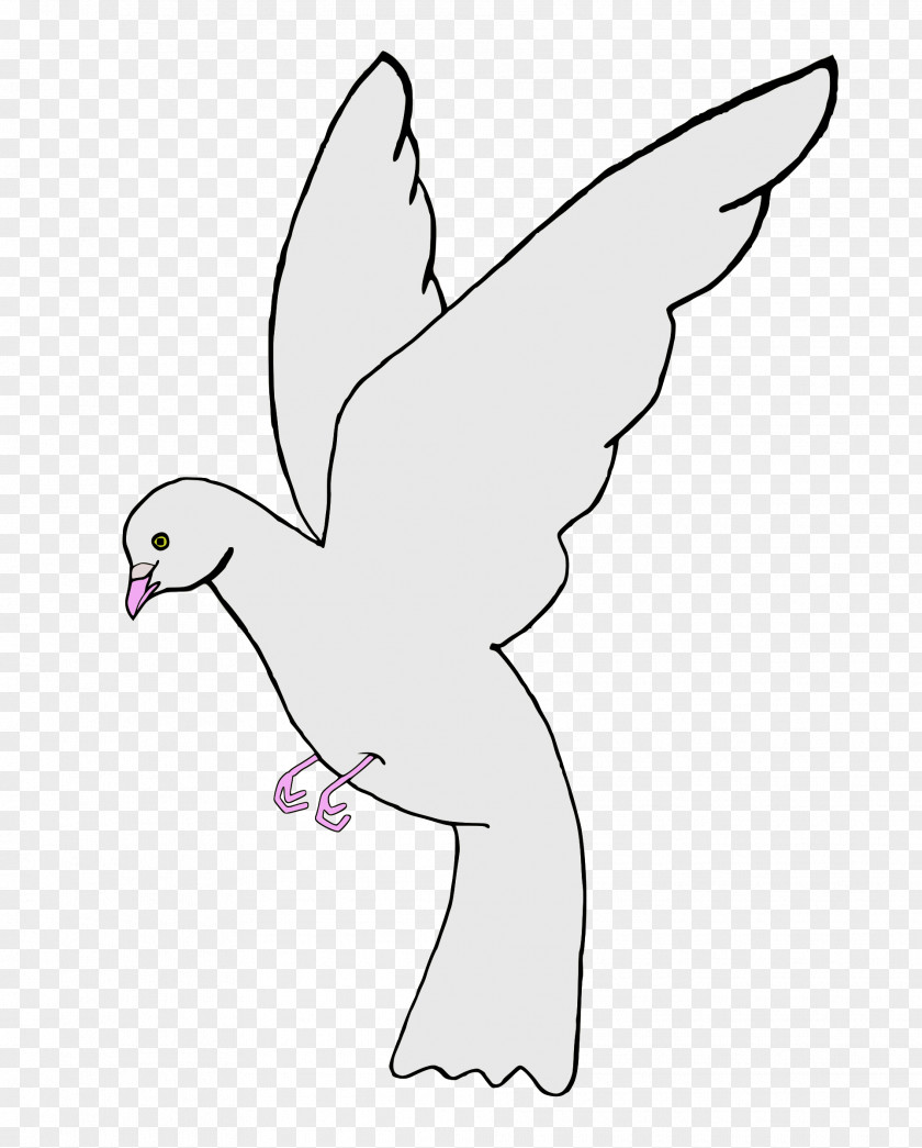 DOVES Columbidae Homing Pigeon Clip Art PNG