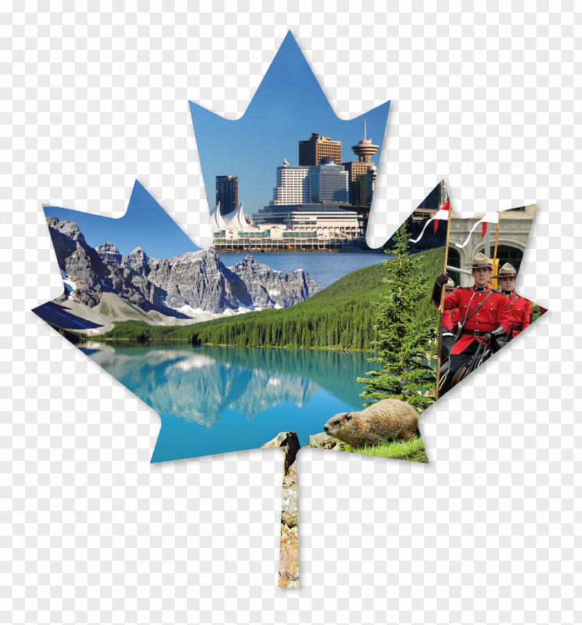 Flag Of Canada Maple Leaf CanPacific College Business & English A Mari Usque Ad Mare PNG