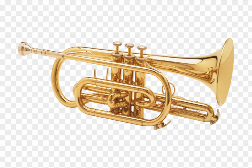 Golden Trumpet Saxophone Musical Instrument PNG