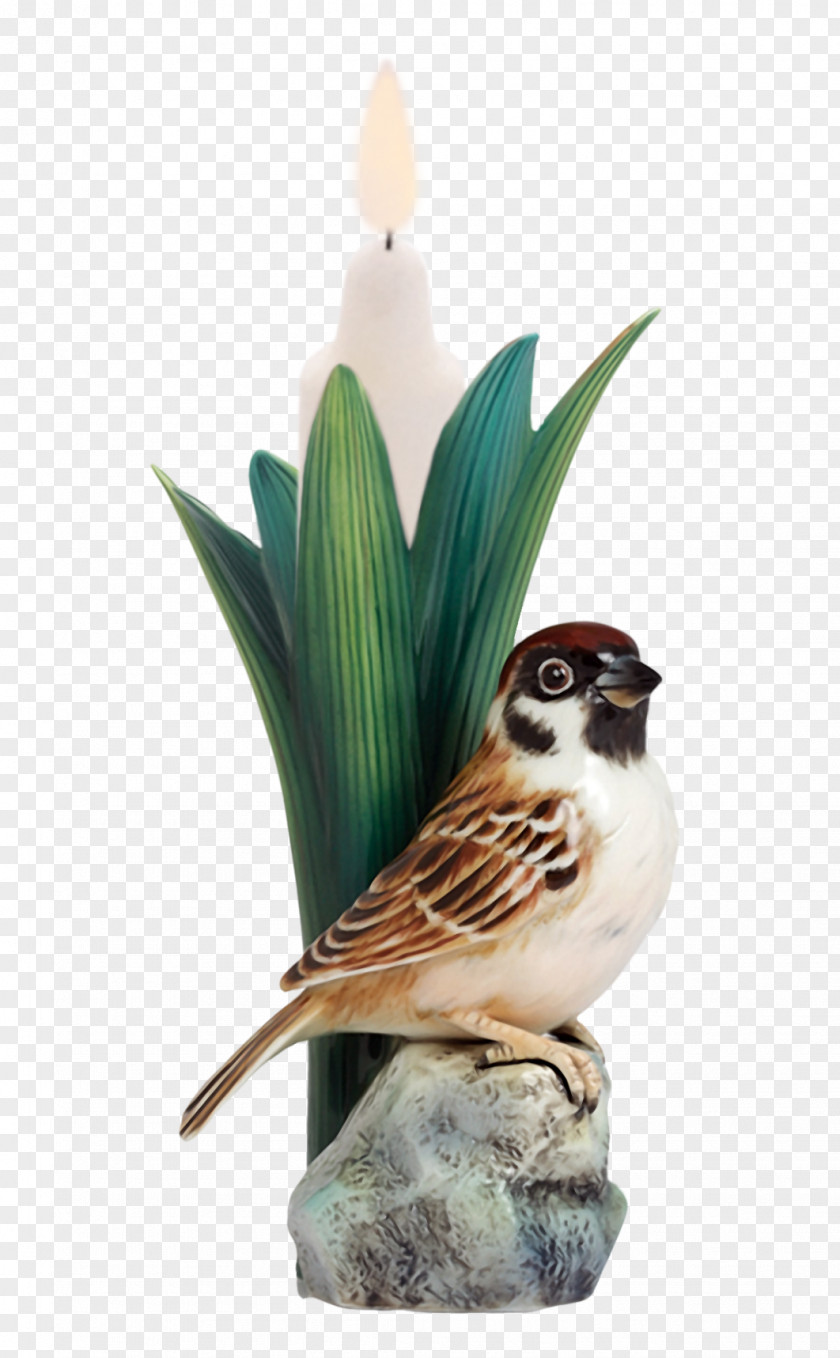 Mum Birds And People Dresden Porcelain Collection Johann Loetz Witwe PNG