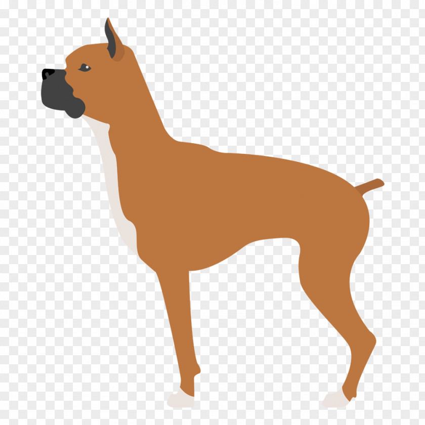 Puppy Dog Breed Boxer Companion English Mastiff PNG