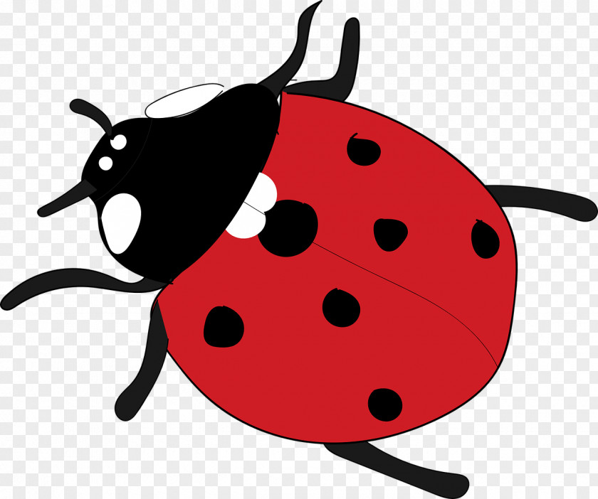 Beetle Ladybird Clip Art PNG