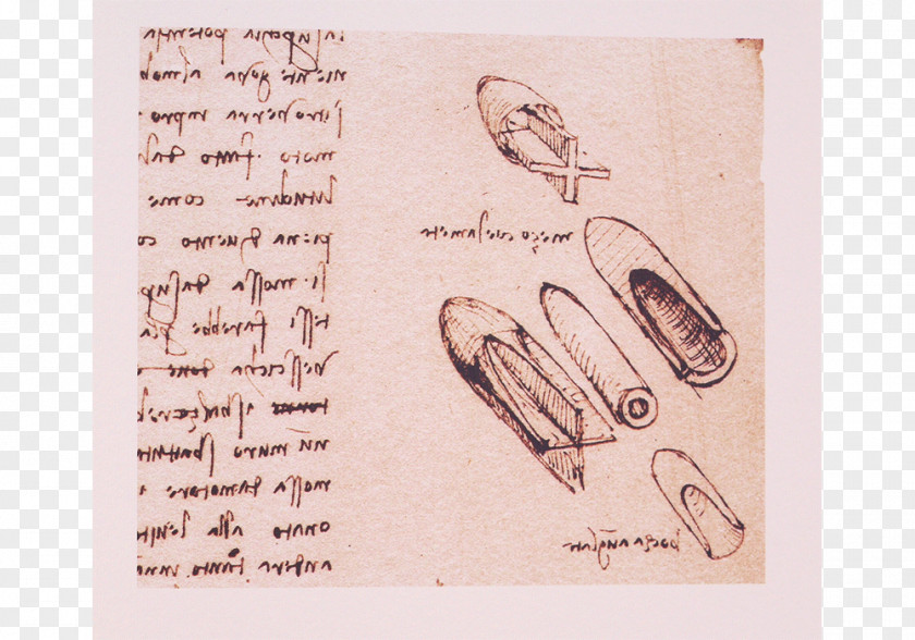 Dali Drawing Codex Madrid Atlanticus Renaissance Invention PNG