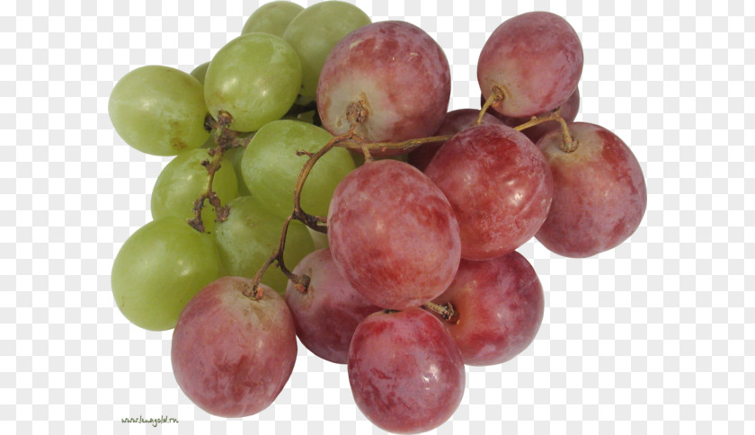 Grape Food Seedless Fruit Wine PNG