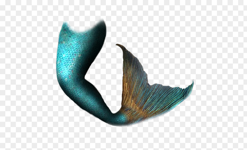 Mermaid Tails Tail Clip Art PNG