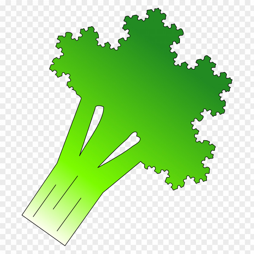 Broccoli Food Vegetable Clip Art PNG