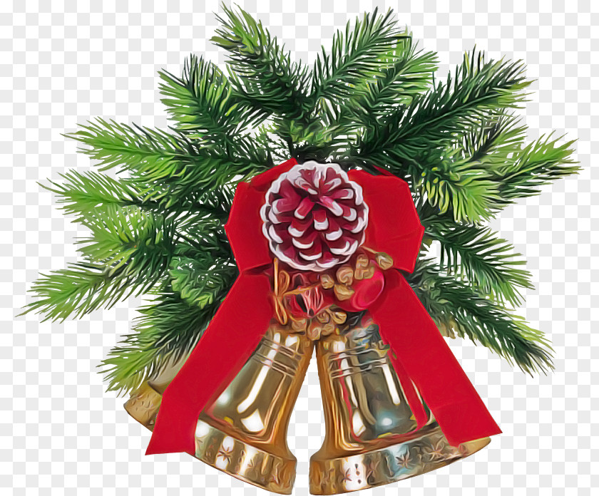 Christmas Eve Plant Ornament PNG