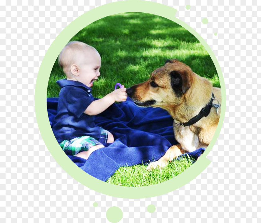 Dog Poo Breed Pet Puppy Leash PNG