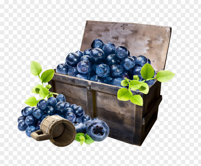 Grape Blueberry Bilberry Clip Art PNG