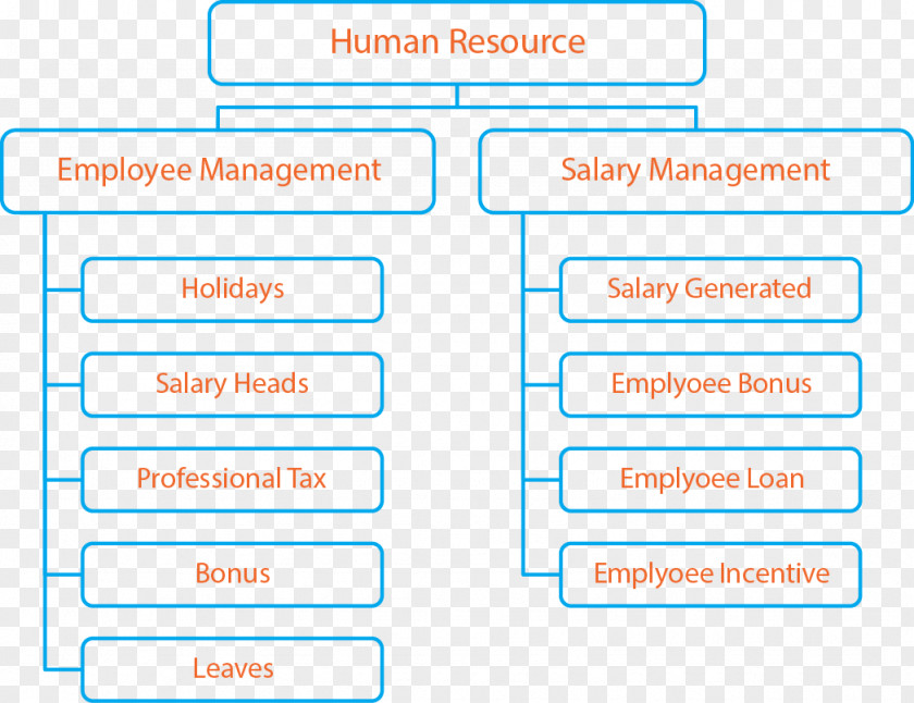 Human Resource Management Organization Line Brand Angle Font PNG
