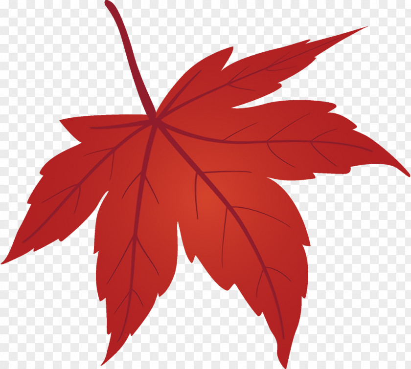 Maple Black Leaf Fallen Dead PNG