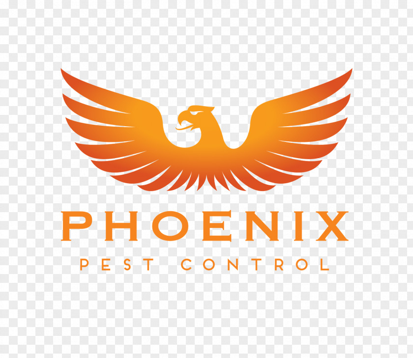 Phoenix Malta Logo Company Business PNG