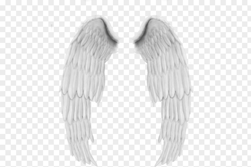 Top Angle Angel Wings Paper PNG