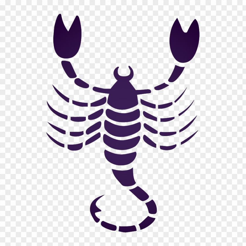 Water Scorpio Astrological Sign Astrology Zodiac Horoscope PNG