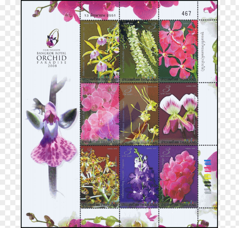 Amazing Thailand Postage Stamps Floral Design Miniature Sheet Orchids PNG