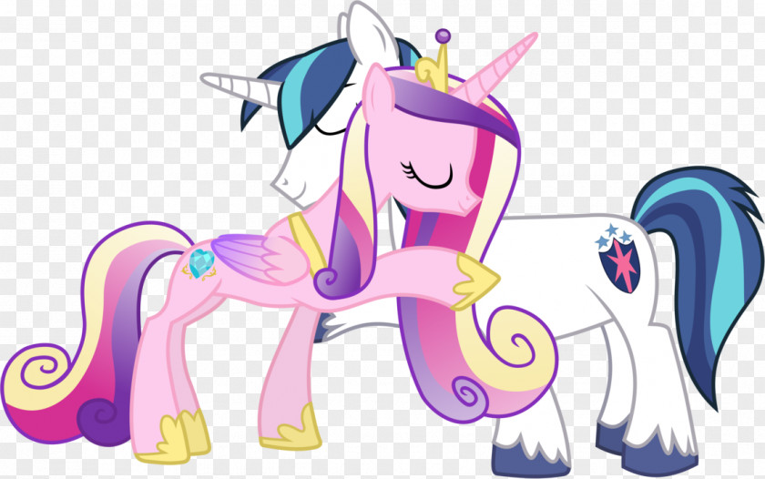 Disco 90 Pony Princess Cadance Shining Armor Rainbow Dash PNG