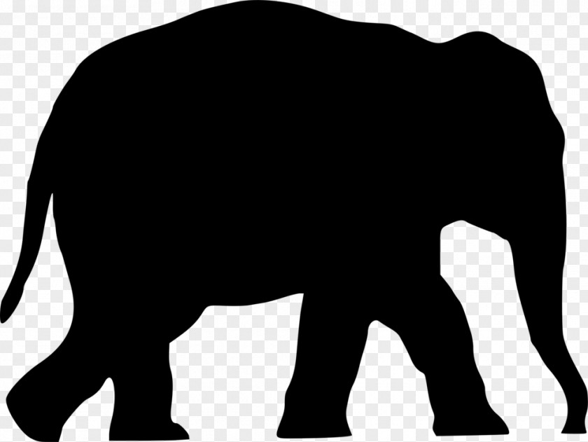 Tail Line Art Elephant Background PNG