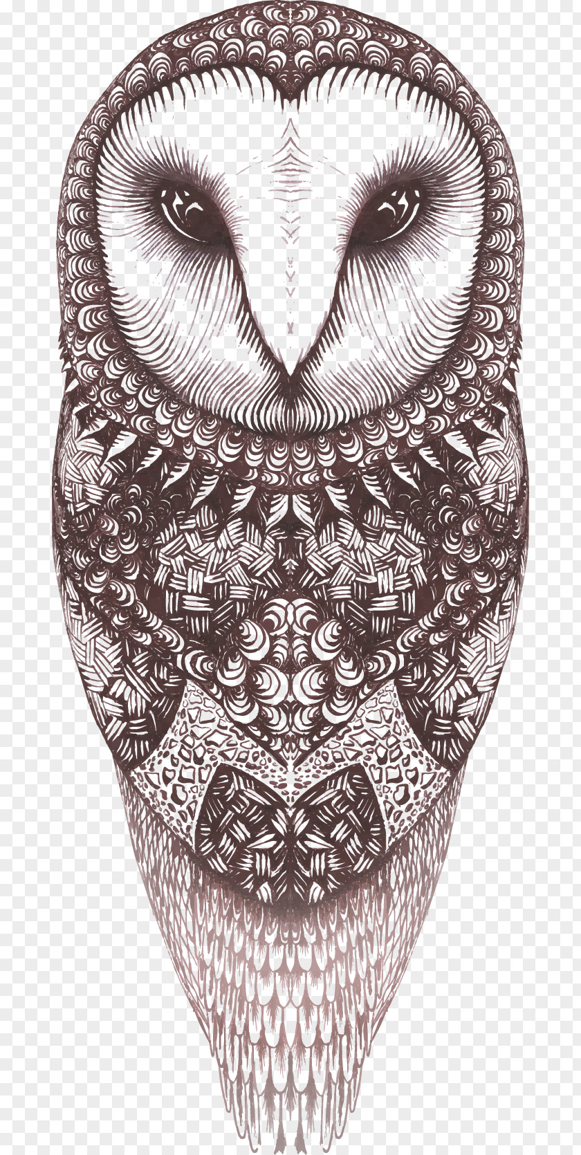 Vector Owl Euclidean PNG