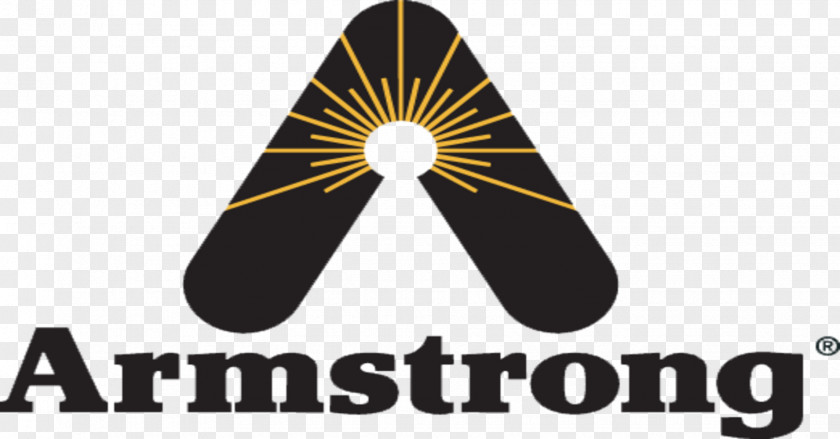 Armstrong International Valve Steam Process Control PNG